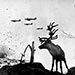 Reindeer, Murmansk, 1941